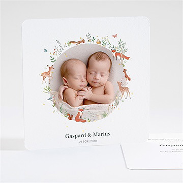 Faire-part naissance jumeaux & animaux dorure