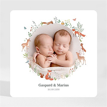 Faire-part naissance jumeaux & animaux magnet