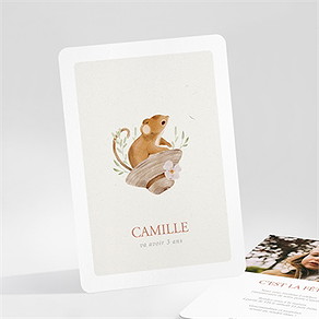 Invitation anniversaire petite souris