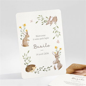 Faire-part naissance la clé des champs portrait