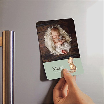 Remerciement naissance dragon - Mise en situation