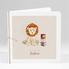 Faire-part naissance mon petit lion