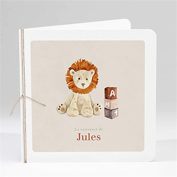 Faire-part naissance mon petit lion