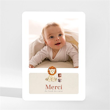 Remerciement naissance mon petit lion