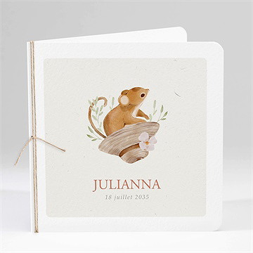 Faire-part naissance ma petite souris