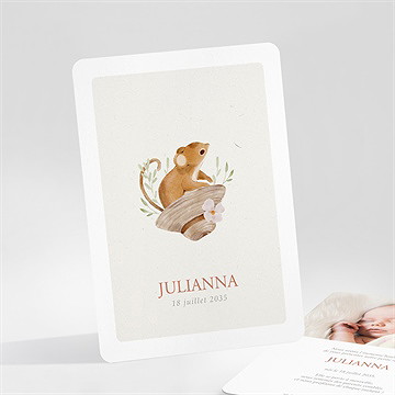 Faire-part naissance ma petite souris portrait