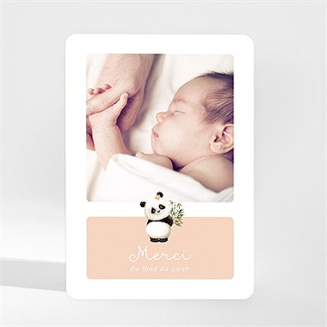 Remerciement naissance mon panda