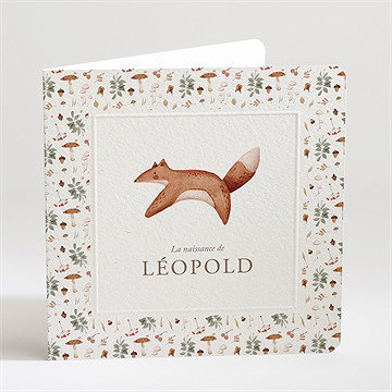 Faire-part naissance renard automne