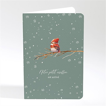 Faire-part naissance flocons de neige