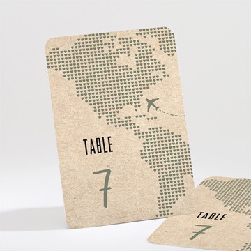 Numéro de table mariage billet d'avion