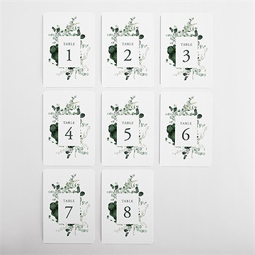 Numéro de table mariage tendre murmure - Vue d'ensemble