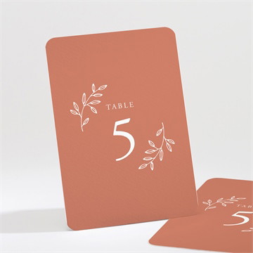 Numéro de table mariage douce terracotta étui