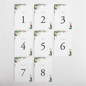 Numéro de table mariage thème noël - Vue d'ensemble