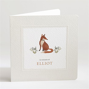 Faire-part naissance le conte du renard