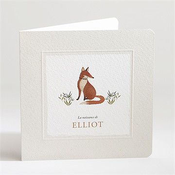 Faire-part naissance le conte du renard