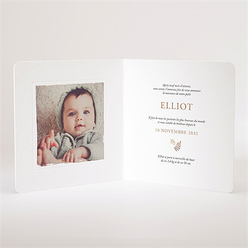 Faire-part naissance le conte du renard - Intérieur du faire-part