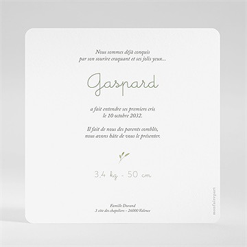 Faire-part naissance famille renard - Dos du faire-part