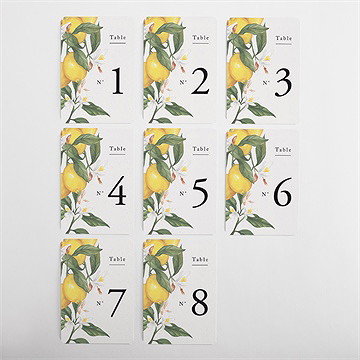 Numéro de table mariage citron - Vue d'ensemble