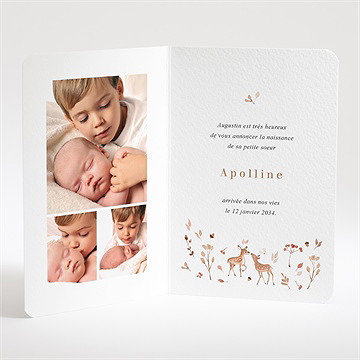 Faire-part naissance ronde de la forêt - Intérieur du faire-part