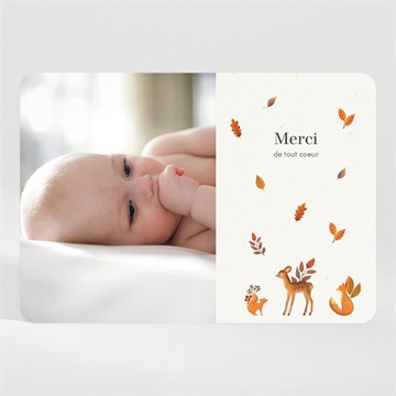 Remerciement naissance renard et animaux