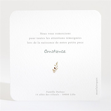 Remerciement naissance petit carrousel - Dos de la carte