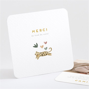 Remerciement naissance savane photomaton