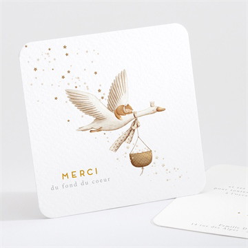 Remerciement naissance cigogne