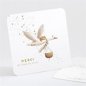 Remerciement naissance cigogne
