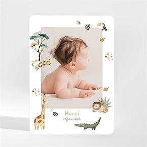 Remerciement naissance ma petite savane