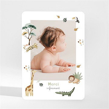 Remerciement naissance ma petite savane