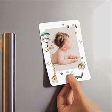 Remerciement naissance ma petite savane - Mise en situation