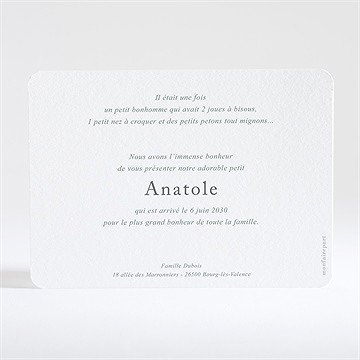 Faire-part naissance adorables pictos - Dos de la carte