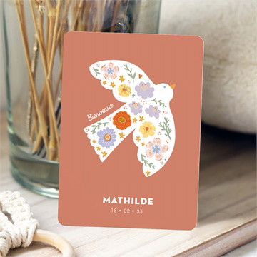 Faire-part naissance colombe nature