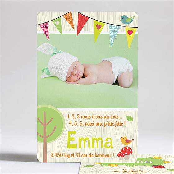 Faire-part naissance réf. n24117