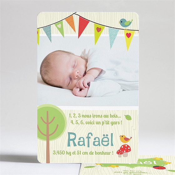 Faire-part naissance bannières en folie
