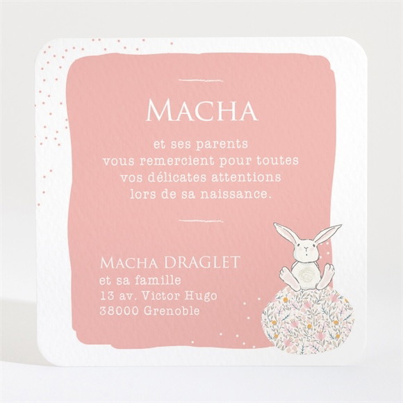 Remerciement naissance Tendre lapin réf.N3001378