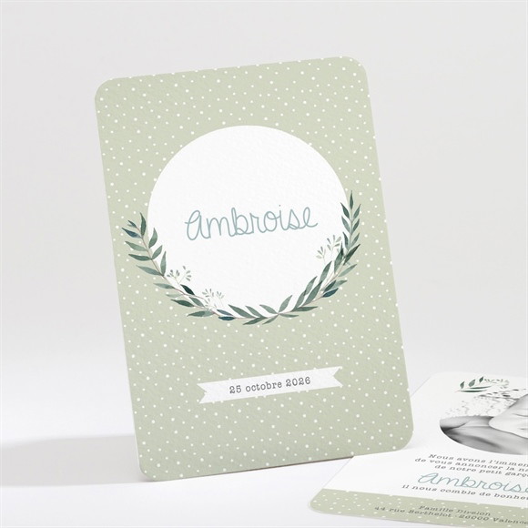 Faire-part naissance Douceur champêtre réf.N211168