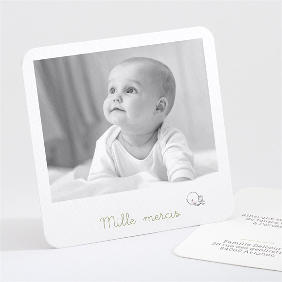 Remerciement naissance Lapins en folie! réf.N30169