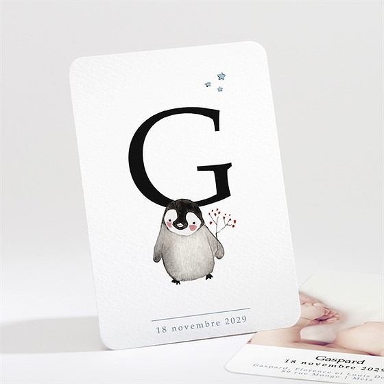 Faire-part naissance pingouin