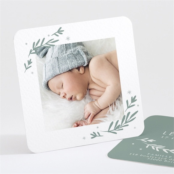 Faire-part naissance Végétal vert pastel réf.N30179