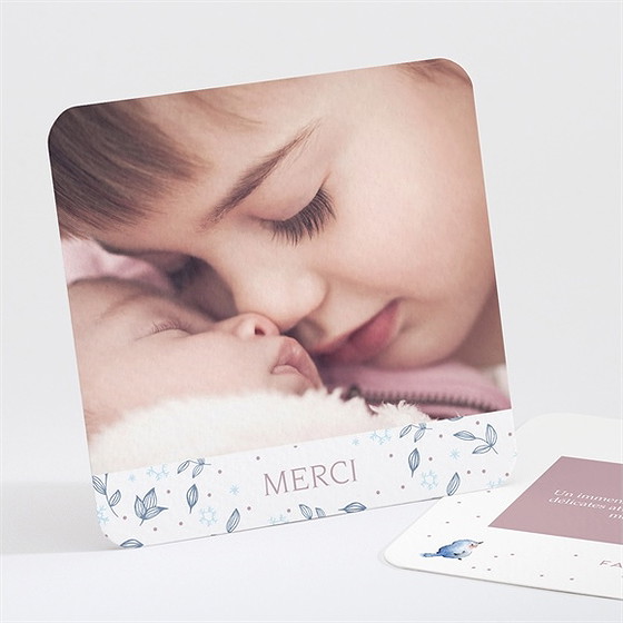 Remerciement naissance mon petit oiseau