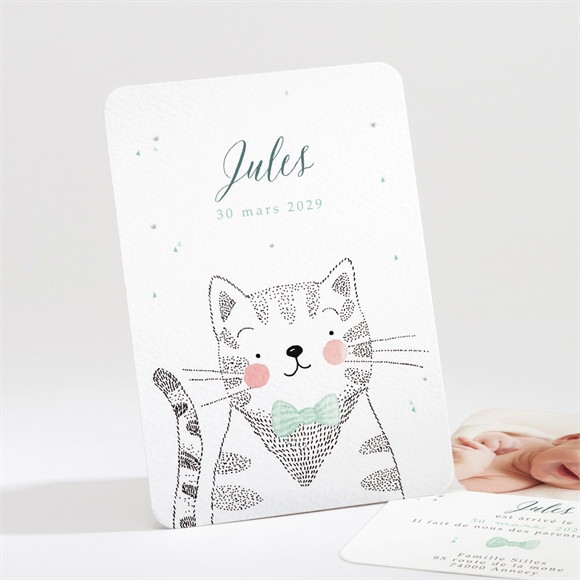 Faire-part naissance Mon Petit Chat réf.N211183