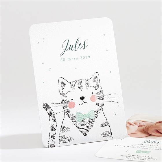 Faire-part naissance mon petit chat