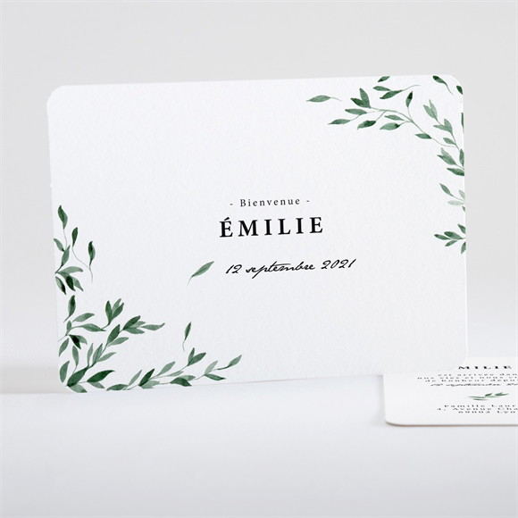 Faire-part naissance Les petits Coins champêtres réf.N15102