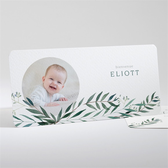 Faire-part naissance Feuillage à l'aquarelle réf.N13196