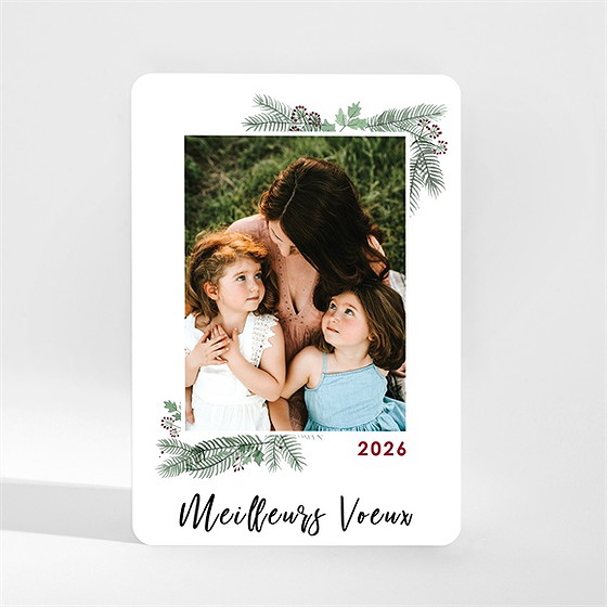 Carte de voeux nos meilleurs voeux