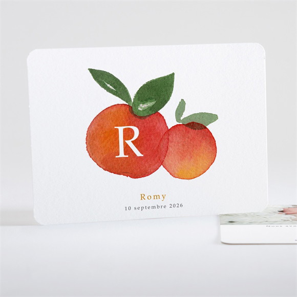 Faire-part naissance Petits Agrumes réf.N15125