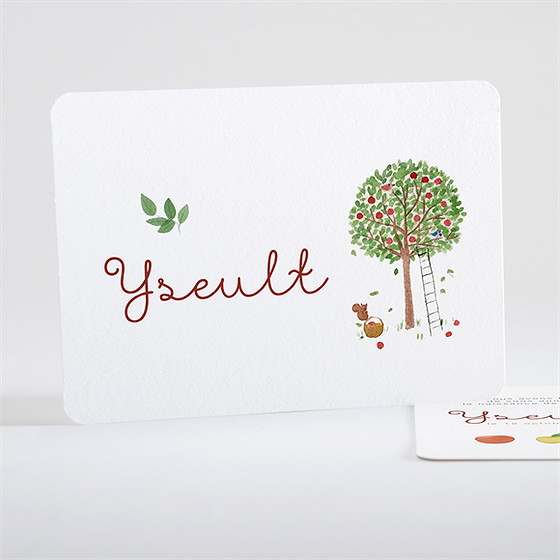 Faire-part naissance comme 3 pommes