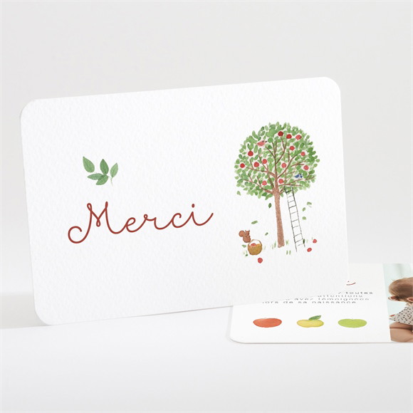 Remerciement naissance Comme 3 pommes réf.N111288