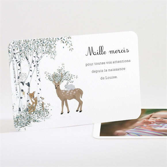 Remerciement naissance Ma petite Clairière réf.N111291